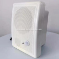 Active Infrared Sensor Wall Speaker with Bluetooth